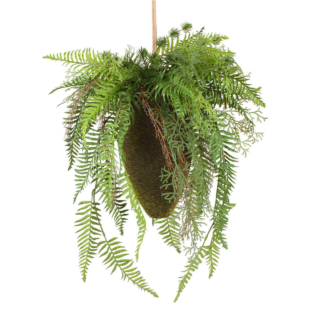 Moana Kokedama misto