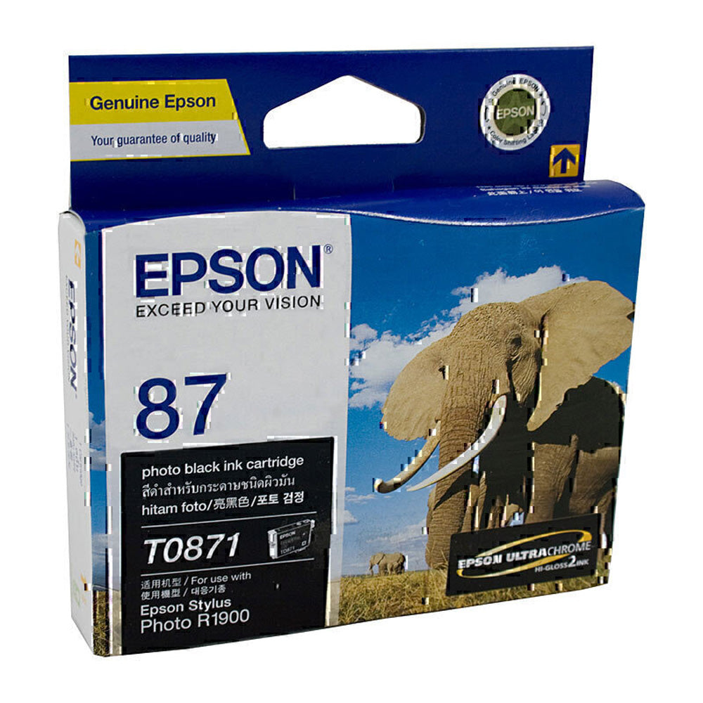 Cartuccia di inchiostro Epson T087