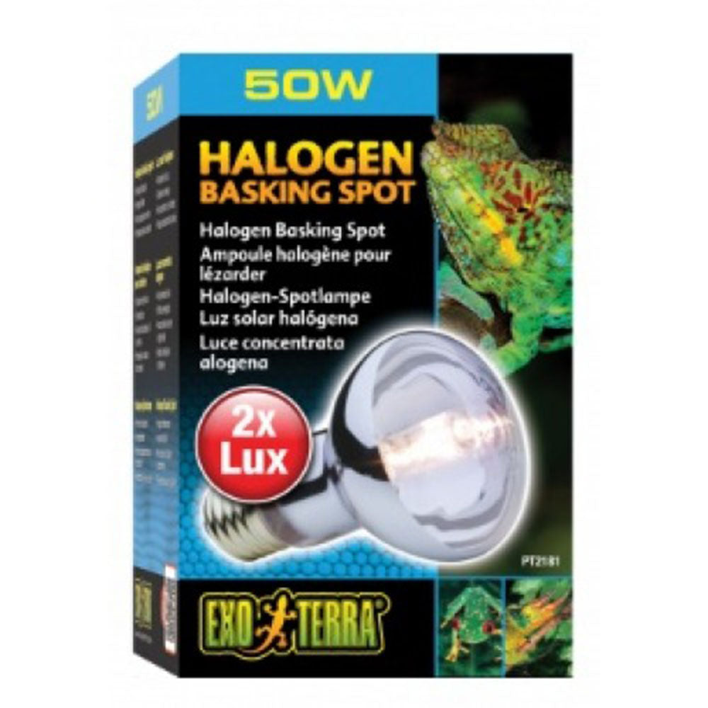 Exo terra halogen basking spot lampe