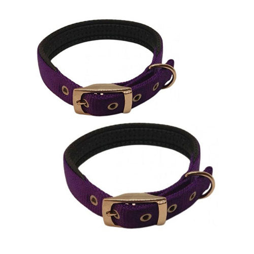 Nylon Padded Collar (Purple)