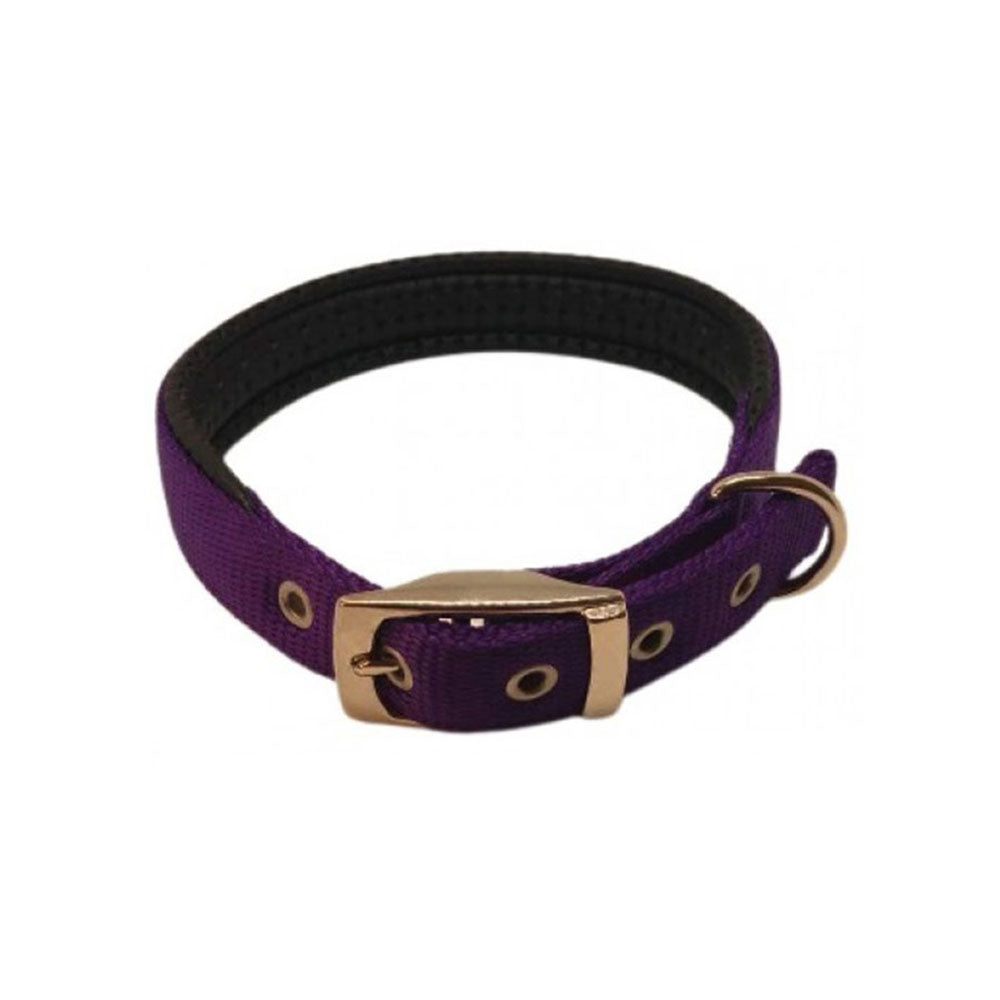 Nylon Padded Collar (Purple)