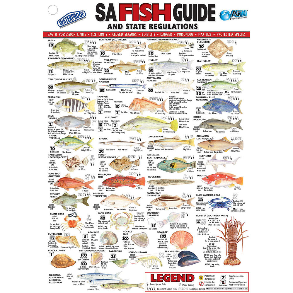 Tarjeta de identificación de pescado de vinilo