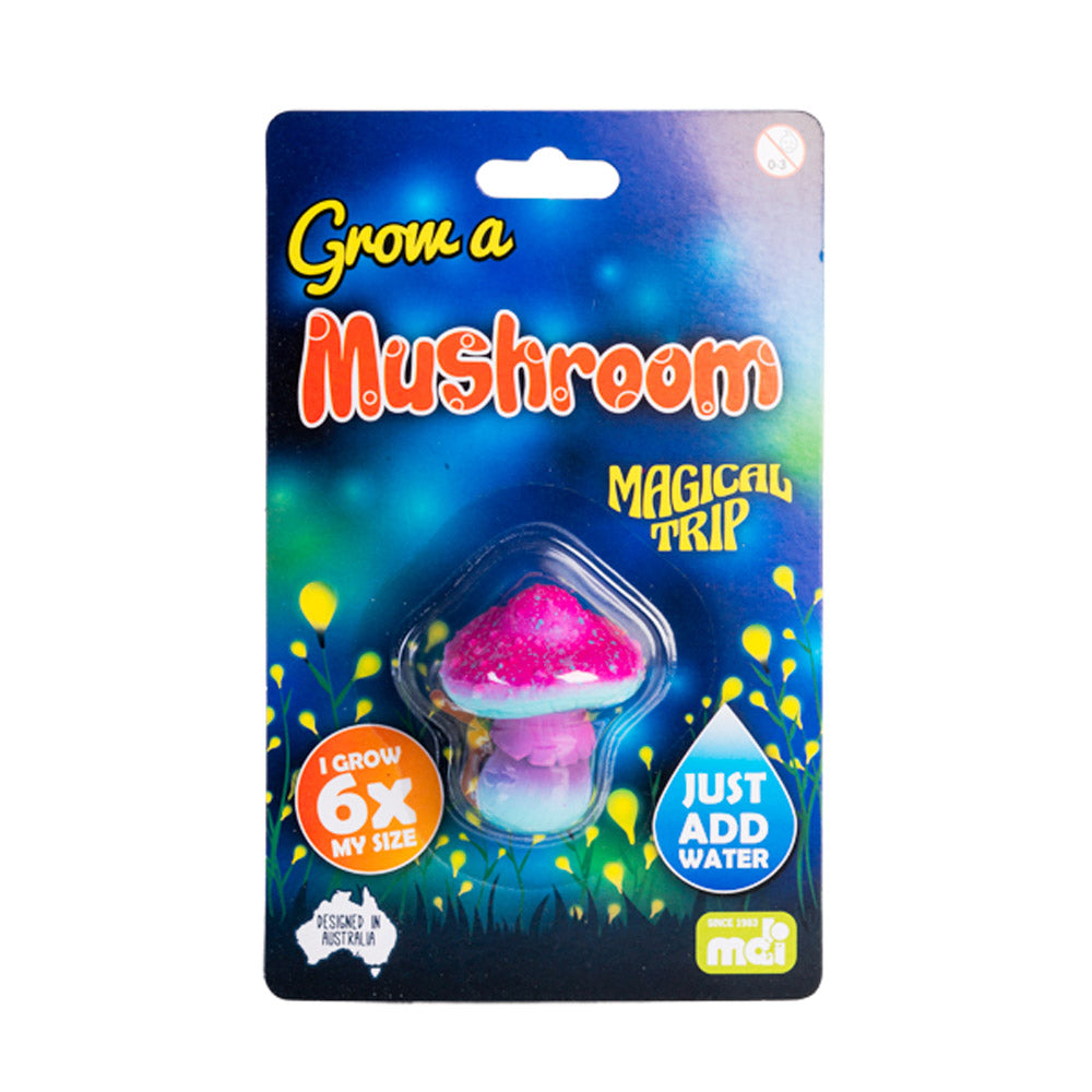 Grow a Mushroom Water Toy