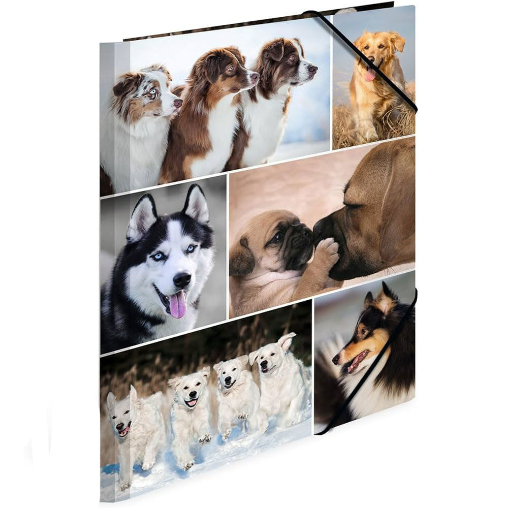 Herma Elasticated Cardboard Folder A4 Animals