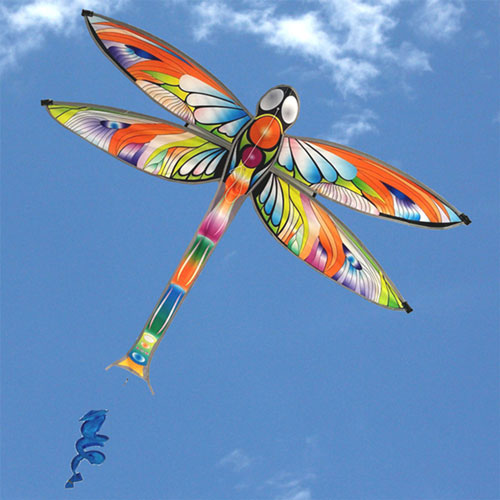 Windspeed Single String Dragonfly Kite