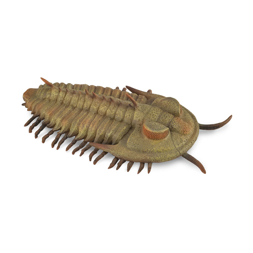 CollectA Redlichia Rex Trilobite Figure (Large)