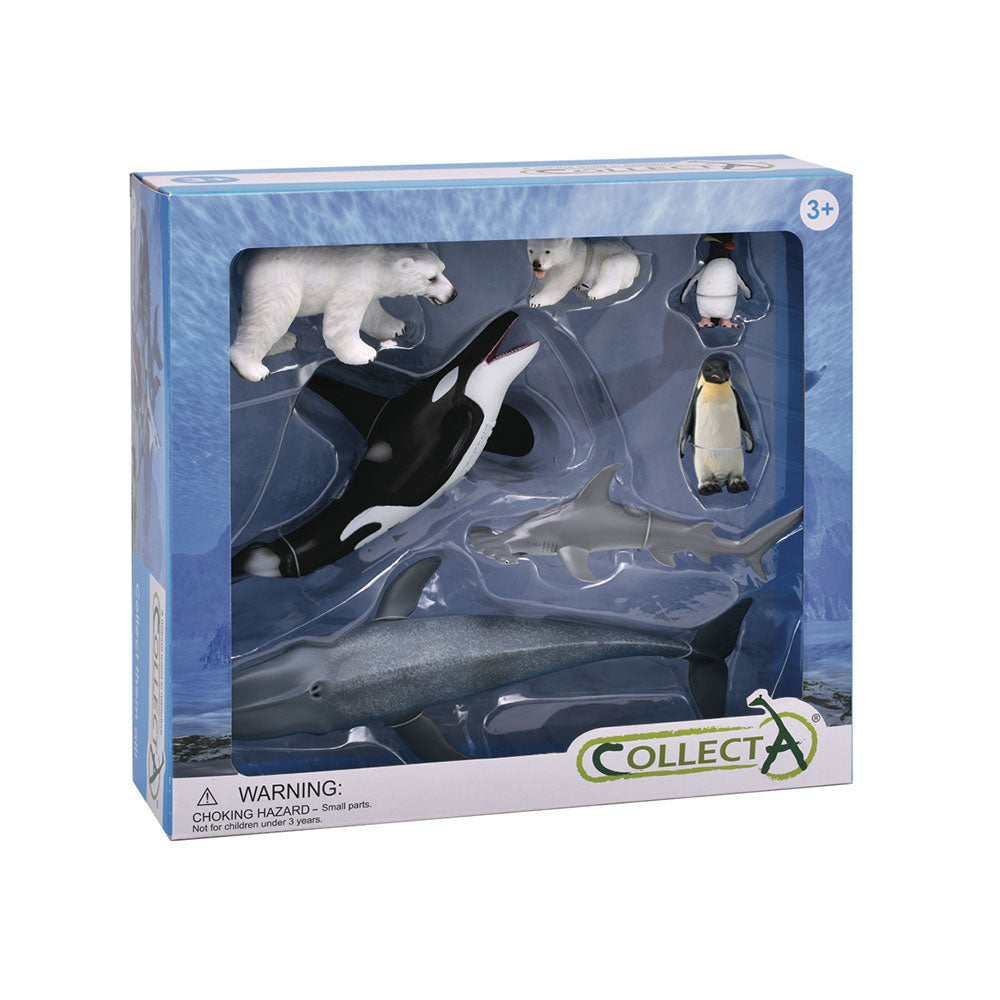 Collecta Sea Life Figuras de animales Juego de regalos