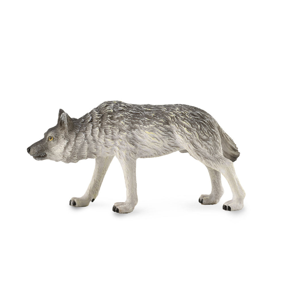 COLLECTA TIMBER WOLF FIGURE (Medium)