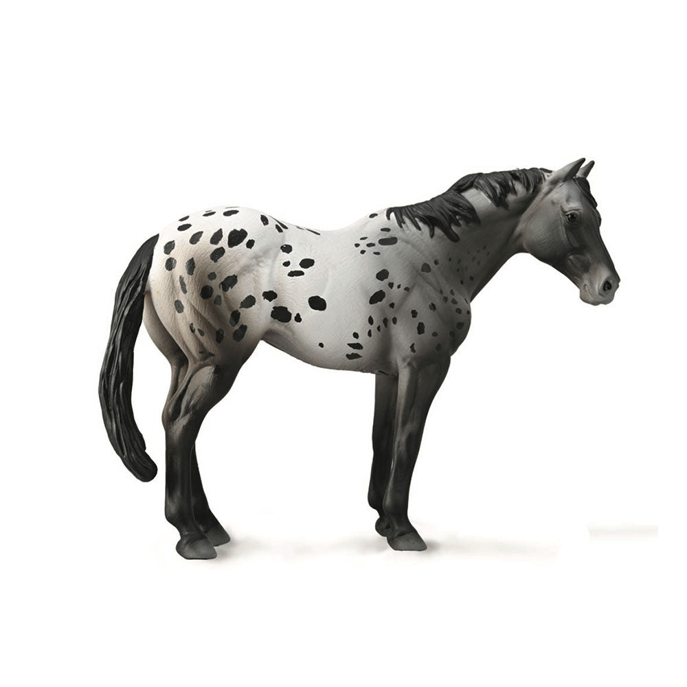 Figura do garanhão da coleciona Appaloosa (XL)