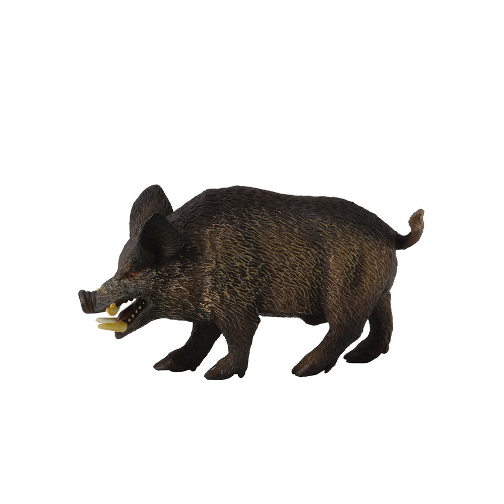  CollectA Wildschwein-Figur (mittel)