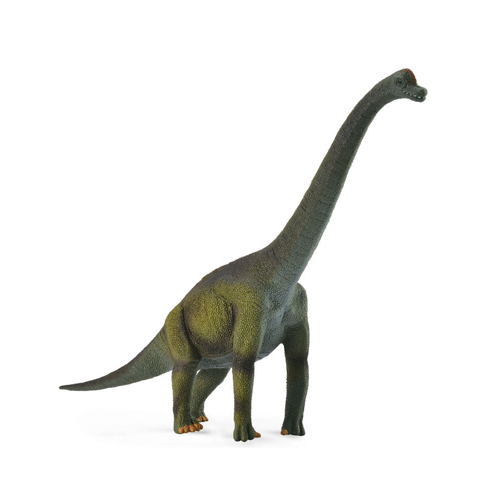 Figura di dinosauro da collezione brachiosaurus