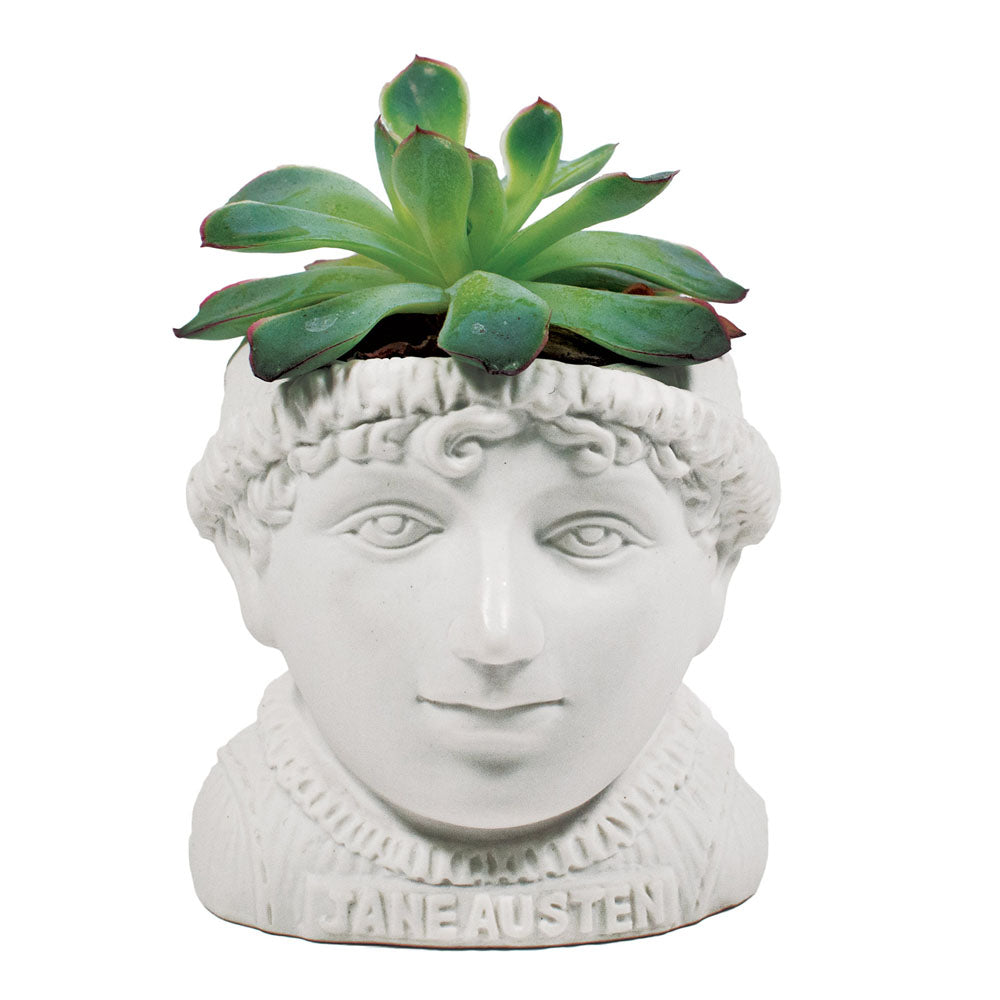 Jane Austen Planter