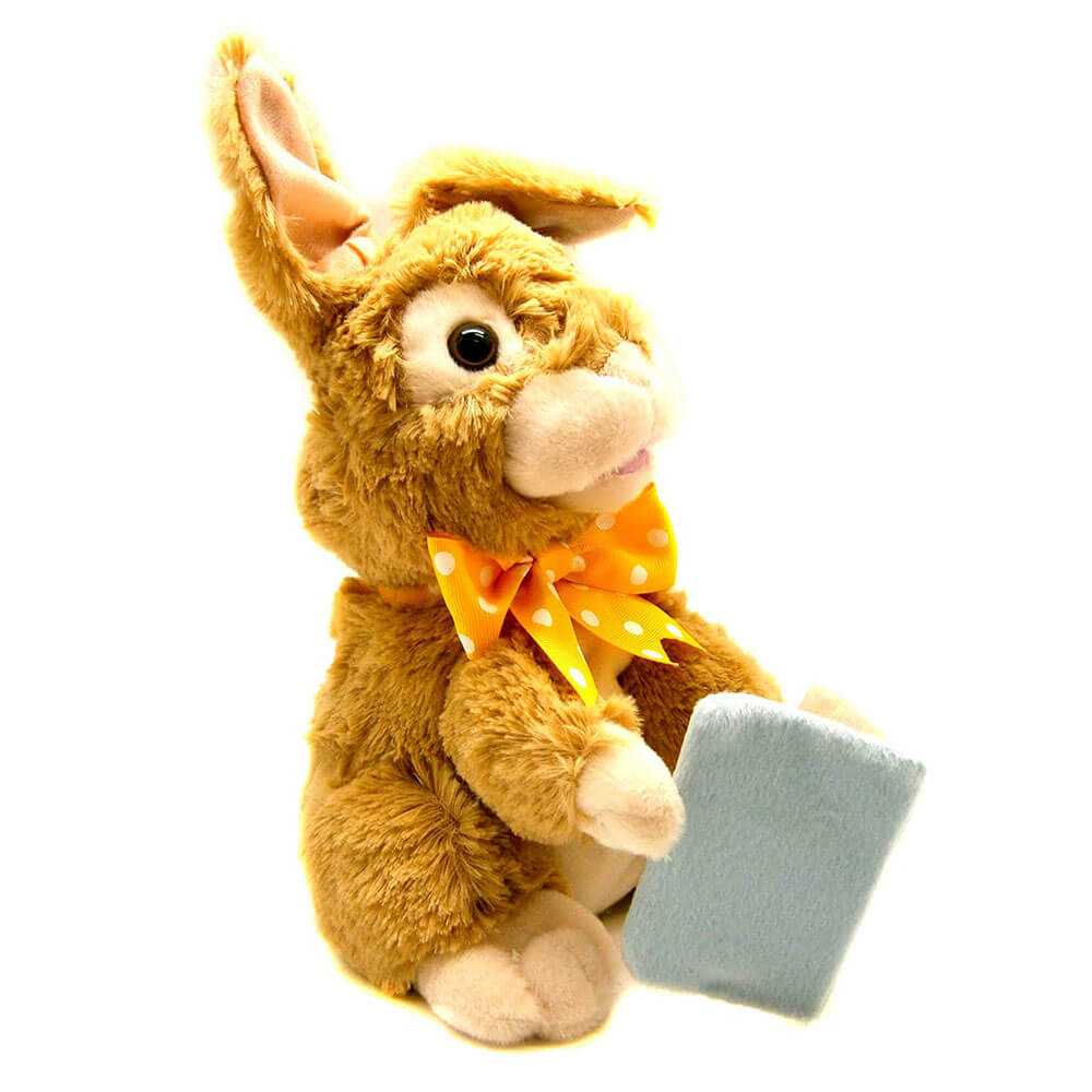 Reader Rabbit Animated Plush