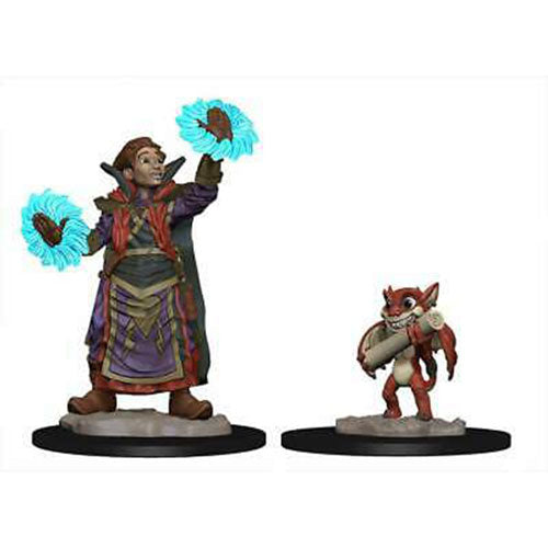 Wardlings Boy Wizard & Imp Pre-Painted Minis