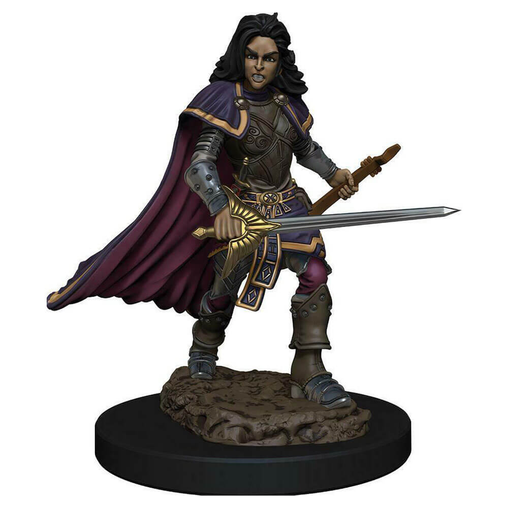  Pathfinder Battles Premium bemalte Figur