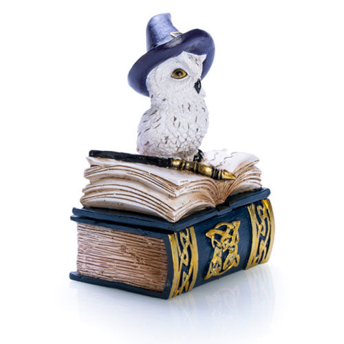 Snowy Owl Book Trinket Box