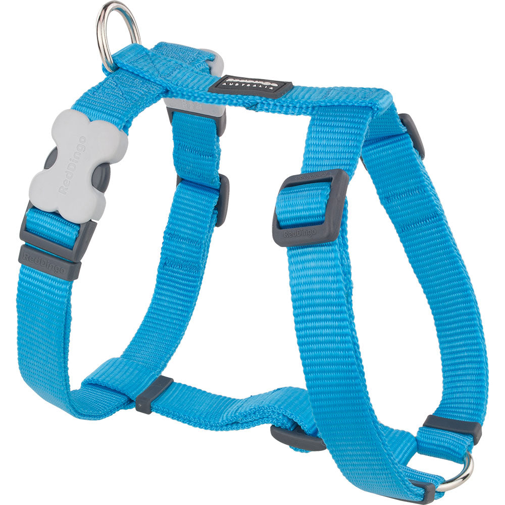 Classic Harness (turkos)