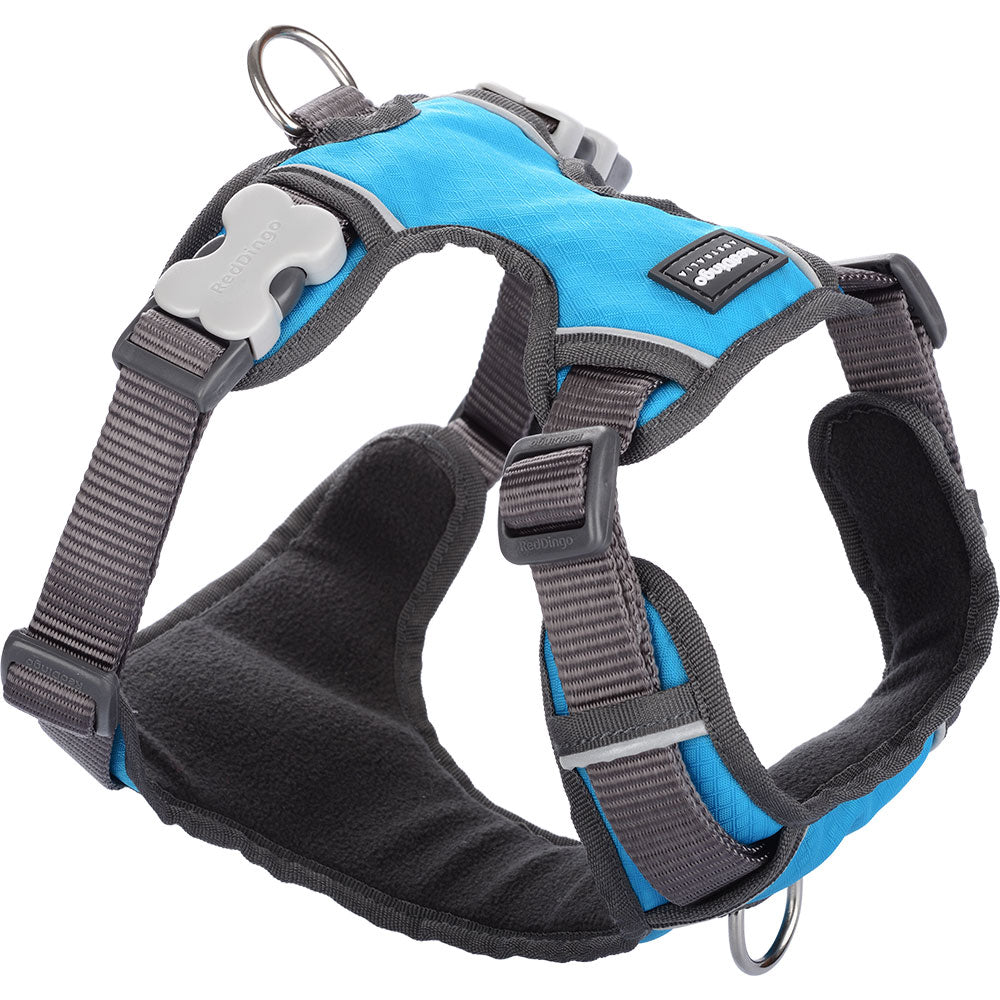 Padded Harness (turkis)