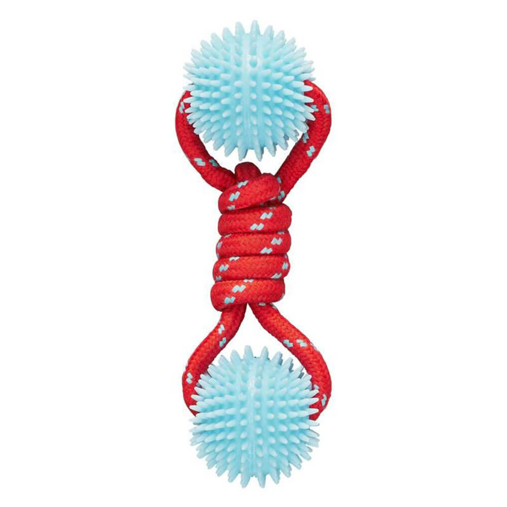 Wild & Woofy Dog Toy