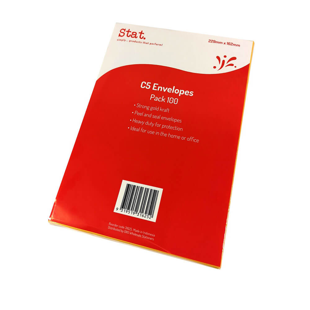 Stat Kraft Peel & Seal Envelope (100 pk)